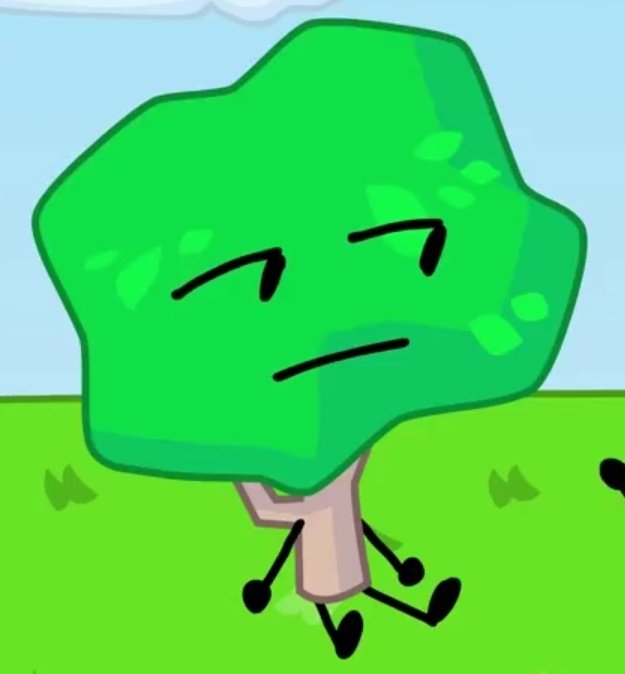 timely tree tweet media