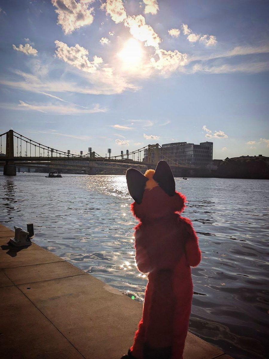Melvischino cherry goofstick (@melvis_barksy) on Twitter photo Another Anthrocon comes and goes. Even after 8 years of going to this con, it never brings me any less joy to be at or any less sadness to have to leave. Thank you to everyone that made this one as fun-packed as ever ^^ #Anthrocon2025 #Furry
π· - <a href="/MallardRodo/">Rodo T. Mallard</a> Another Anthrocon comes and goes. Even after 8 years of going to this con, it never brings me any less joy to be at or any less sadness to have to leave. Thank you to everyone that made this one as fun-packed as ever ^^ #Anthrocon2025 #Furry
π· - <a href="/MallardRodo/">Rodo T. Mallard</a>