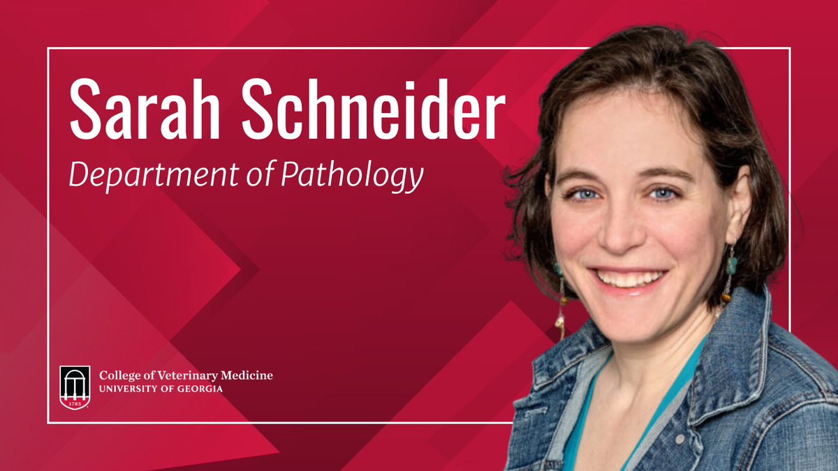 ugavetmed's tweet image. From veterinary practices to telehealth clinics, new funding for @universityofga faculty to address rural issues in Georgia — #UGAVetMed's Dr. Sarah Schneider to partner with ANR Extension.
--
🔗 Read more: ugavetmed.com/44I48ME