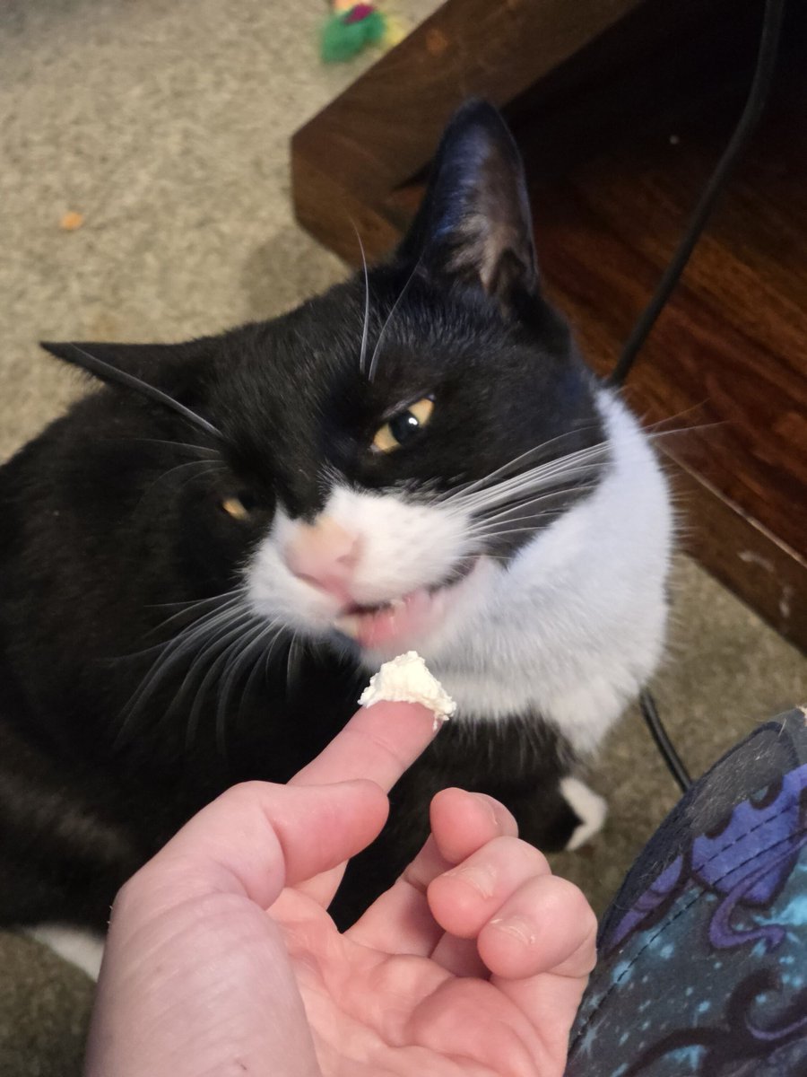 Have you ever been looked at the way Smol Paul looks at cream?