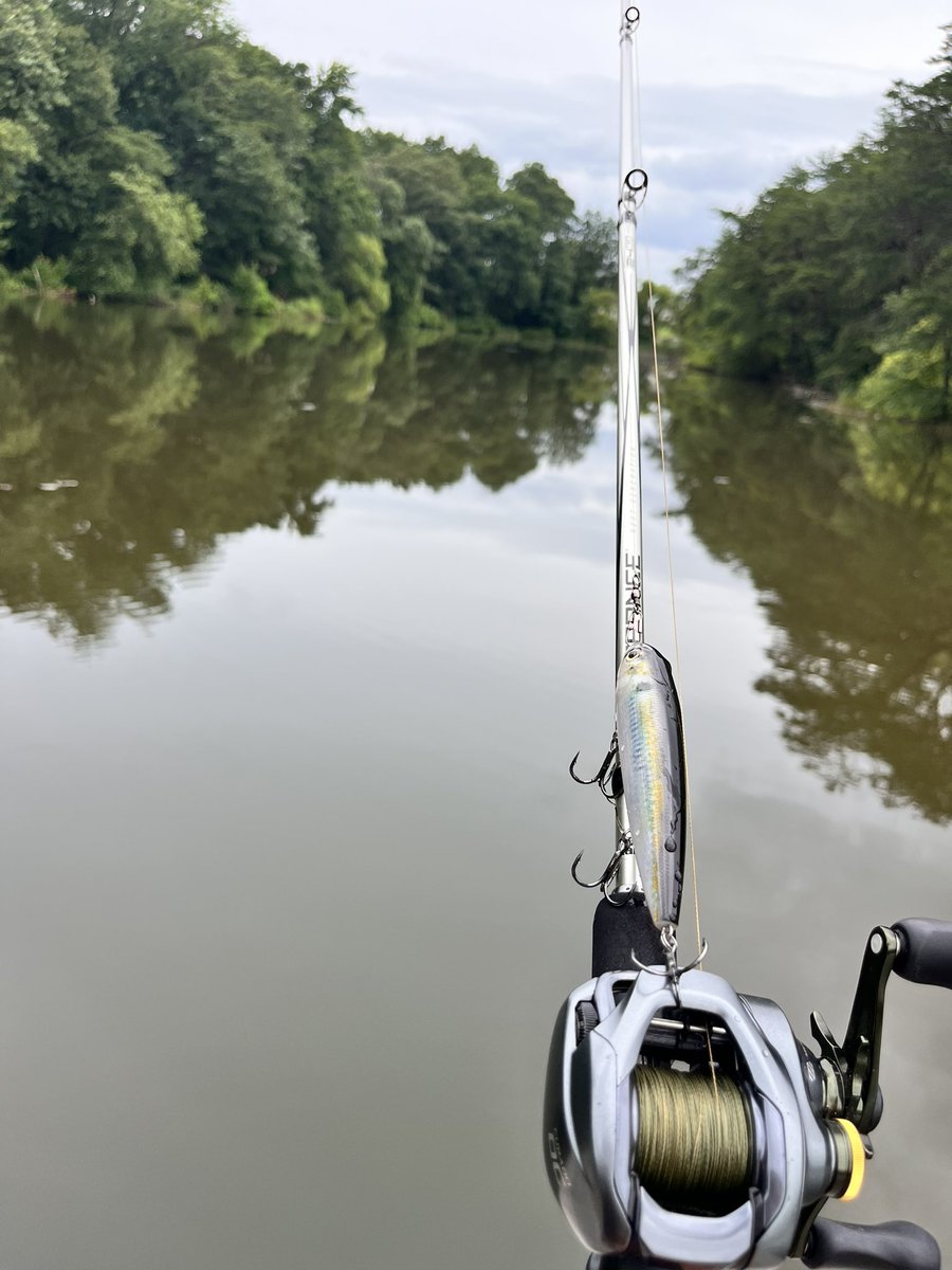 False_Mercy's tweet image. It’s a beautiful morning