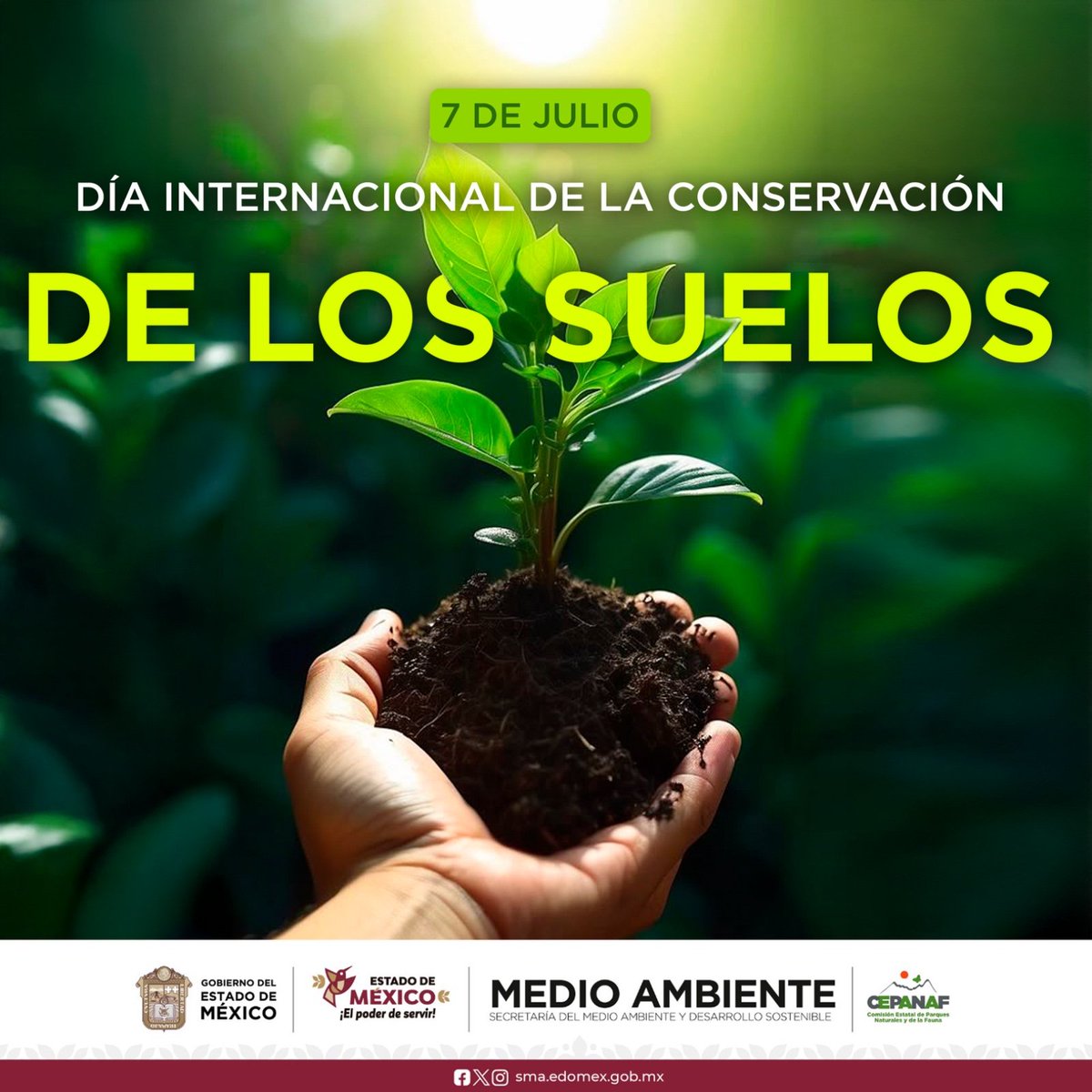 El suelo es mucho más que tierra bajo nuestros pies…
Es la base de la vida. De él nace el alimento que consumimos, se filtra el agua que bebemos y crecen los bosques que nos dan oxígeno. 🌾🌳💧