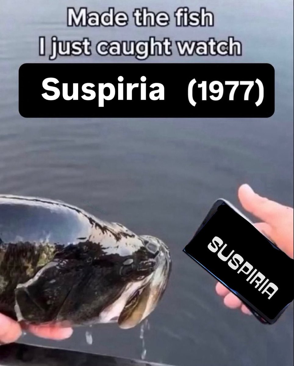 mrs. jackpots (@titleposting) on Twitter photo 