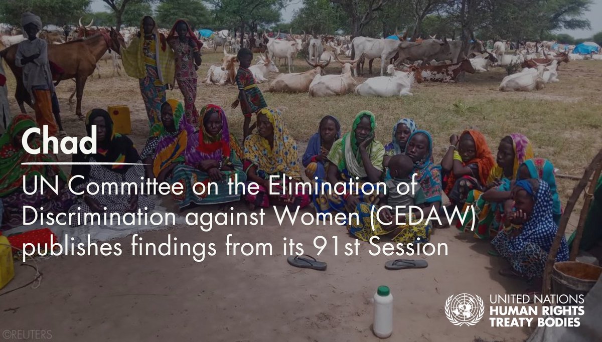 UNTreatyBodies's tweet image. #CEDAW commends #Chad for adopting an asylum law granting refugees equal rights to education, healthcare & social protection, urges authorities to tackle limited access to services & intersecting discrimination faced by displaced & stateless persons.
ohchr.org/en/press-relea…