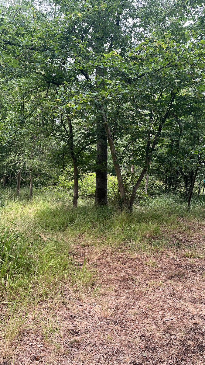 Students being kids playing hide and seek!! Not a screen or device in sight!!

All being amazingly behaved!!!

There are 20 students in this picture camouflaged!! Can you spot anyone