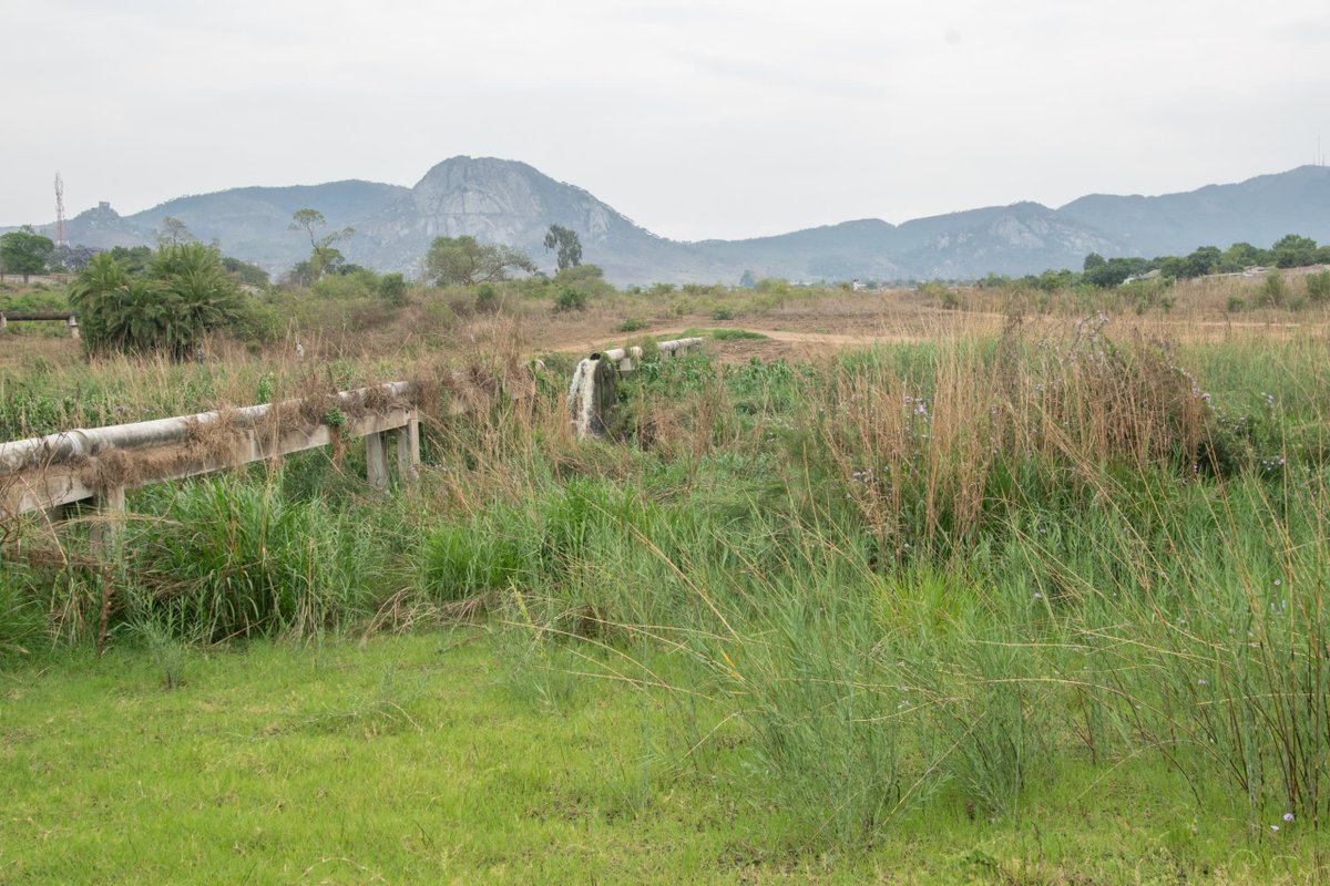 Huge thanks to Mutare City Council for swiftly repairing the burst sewer pipe near Sakubva Cemetery. Their prompt response to #communityconcerns helped prevent environmental harm and health risks. We appreciate their dedication to public safety and well being.