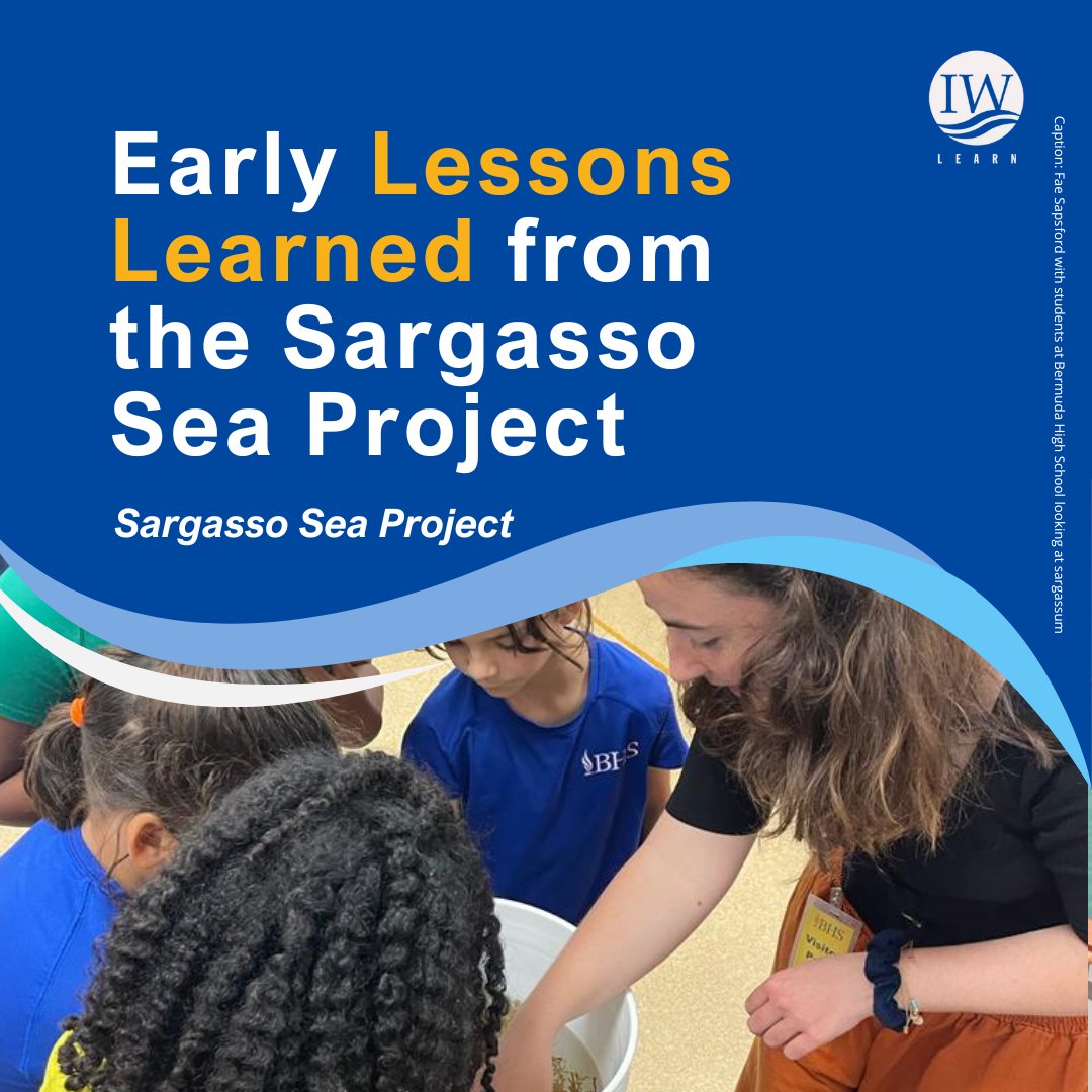 GEF IW:LEARN (@iwlearn) on Twitter photo Discover how the Sargasso Sea Commission is turning lessons learned into action: a Strategic Action Programme, new conservation frameworks under the BBNJ agreement, and a blueprint for protecting other high seas areas.
Read more: loom.ly/vpF5hWM
<a href="/SargassoSeaCmsn/">Sargasso Sea Commission</a> Discover how the Sargasso Sea Commission is turning lessons learned into action: a Strategic Action Programme, new conservation frameworks under the BBNJ agreement, and a blueprint for protecting other high seas areas.
Read more: loom.ly/vpF5hWM
<a href="/SargassoSeaCmsn/">Sargasso Sea Commission</a>