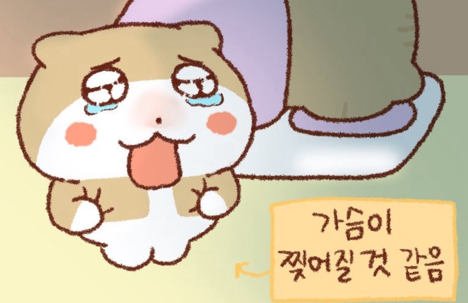 나는 지금까지 숭이가 태생적으로 생긴게 웃상인줄 알았는데 웃상이 아니라 그냥 언니랑 같이 있으니까 너무 행복해서 항상 웃고있던거였구나.....