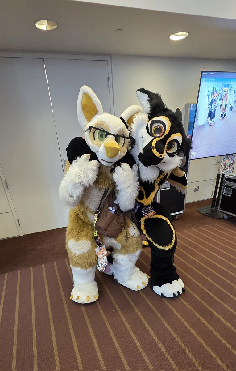 Honestly so much fun running into <a href="/BirbsWings/">Birds 🇨🇦</a> 💛