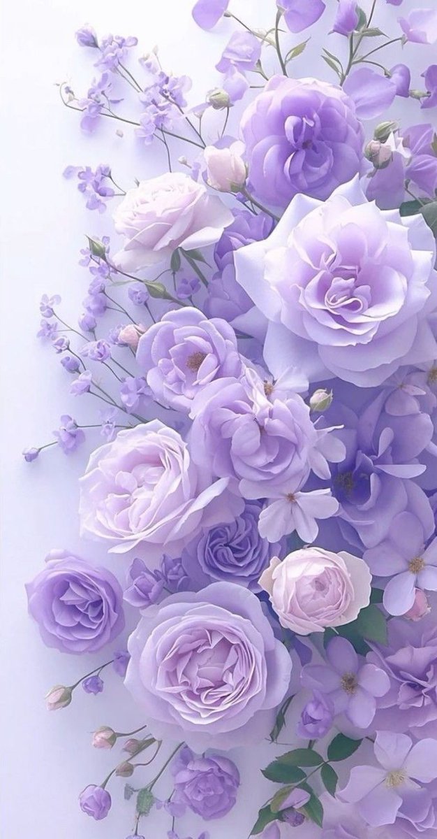 زهره الياسمين 💜 (@ea_550) on Twitter photo <a href="/SalehDark/">صــالح والطيب للإضافات Gp</a> <a href="/HobaniDark/">ֆ αɹ̣ɹ̤᎗බ⅃І͛</a> <a href="/altyb1980/">الطيب🇯🇴</a> <a href="/SalehDar/">cammando</a> <a href="/Alyamani_70/">Doon alyamani</a> <a href="/Os_hg18/">Os 💛🖤</a> <a href="/Al_Yafei1/">𓆲⚘𝑨𝒍-𝒀𝒂𝒇𝒆𝒊•🆇•ύʟ̤ɾɹɹɹב⚘𓆲</a> <a href="/12ZZZ22/">دختور🔥🔥</a> <a href="/WX2fu/">مهندس ايمن عماره</a> <a href="/nahed__8/"> نـN♡᭄ـٌآهِِد دمۘـ؏ـۃ ٵ̍ڵمٰۘ̍ الخاص❌</a> <a href="/doon__60/">doon</a> <a href="/522MMM/">🇸🇦🩷مرام</a> <a href="/6050j/">࿐〄 آحـ🔥ـمـ🔥ـدٍ〄࿐</a> <a href="/nns___4/">✧ 𝒩𝒶𝓌𝒶𝓇𝒶 ✧</a> <a href="/muna_alD/">بلقاوويه مزيوونه ❤️🇯🇴</a> <a href="/naj_009/">نجلا الحمايده</a> <a href="/rnyyi/">بنت الاڪــᬽـ꙰❤𝄠ۛـابࢪ</a> <a href="/u_8zm/">زْھَہّرة | 🦋 💞</a> <a href="/Y_O_U_S_1/">✨️ YOUSIF ✨️</a> <a href="/fozz_1234/">♥️🕊الاميره قلبي🕊♥️</a> <a href="/m_2alak/">ملاڪ</a> <a href="/_HZTT/">عيون المها 🇮🇶</a> <a href="/R_44888/">شهد 👑 💛🖤</a> <a href="/N_IraQ50/">نور العراق</a> مساء الخير والسعادة
يسلموا اخى صالح🌷🌷 <a href="/SalehDark/">صــالح والطيب للإضافات Gp</a> <a href="/HobaniDark/">ֆ αɹ̣ɹ̤᎗බ⅃І͛</a> <a href="/altyb1980/">الطيب🇯🇴</a> <a href="/SalehDar/">cammando</a> <a href="/Alyamani_70/">Doon alyamani</a> <a href="/Os_hg18/">Os 💛🖤</a> <a href="/Al_Yafei1/">𓆲⚘𝑨𝒍-𝒀𝒂𝒇𝒆𝒊•🆇•ύʟ̤ɾɹɹɹב⚘𓆲</a> <a href="/12ZZZ22/">دختور🔥🔥</a> <a href="/WX2fu/">مهندس ايمن عماره</a> <a href="/nahed__8/"> نـN♡᭄ـٌآهِِد دمۘـ؏ـۃ ٵ̍ڵمٰۘ̍ الخاص❌</a> <a href="/doon__60/">doon</a> <a href="/522MMM/">🇸🇦🩷مرام</a> <a href="/6050j/">࿐〄 آحـ🔥ـمـ🔥ـدٍ〄࿐</a> <a href="/nns___4/">✧ 𝒩𝒶𝓌𝒶𝓇𝒶 ✧</a> <a href="/muna_alD/">بلقاوويه مزيوونه ❤️🇯🇴</a> <a href="/naj_009/">نجلا الحمايده</a> <a href="/rnyyi/">بنت الاڪــᬽـ꙰❤𝄠ۛـابࢪ</a> <a href="/u_8zm/">زْھَہّرة | 🦋 💞</a> <a href="/Y_O_U_S_1/">✨️ YOUSIF ✨️</a> <a href="/fozz_1234/">♥️🕊الاميره قلبي🕊♥️</a> <a href="/m_2alak/">ملاڪ</a> <a href="/_HZTT/">عيون المها 🇮🇶</a> <a href="/R_44888/">شهد 👑 💛🖤</a> <a href="/N_IraQ50/">نور العراق</a> مساء الخير والسعادة
يسلموا اخى صالح🌷🌷