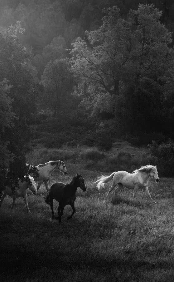 REX (@rexchillect) on Twitter photo 