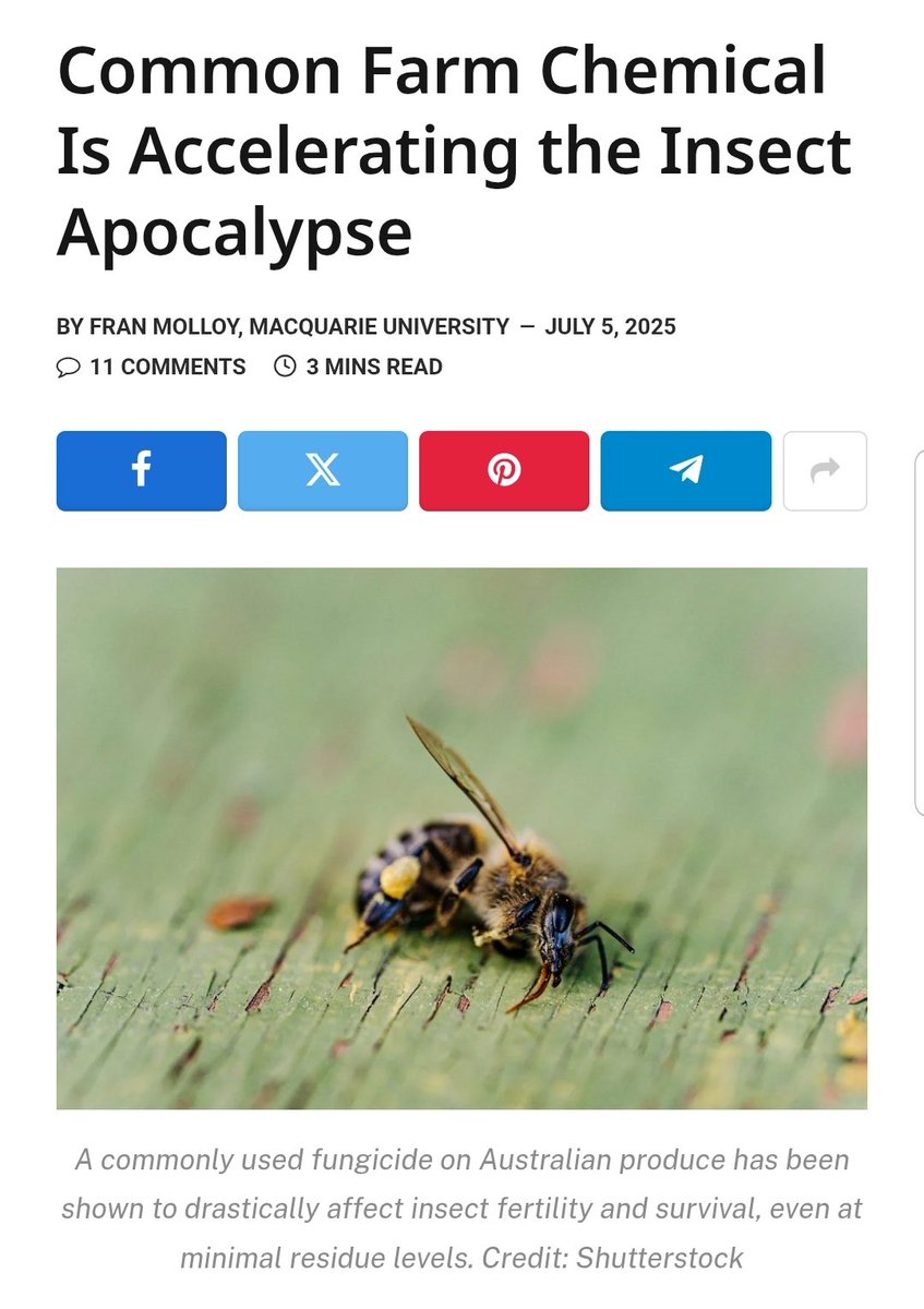 BREAKING:   2.5 to 8 million species scream silently for system change as human activities during capitalist era consign them to abyss of rapid extinction 🧵
