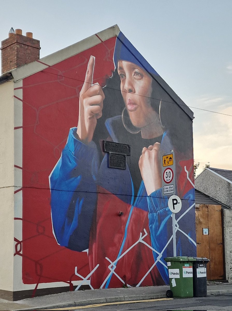 Interesting additions to the urban landscape of <a href="/WaterfordCounci/">Waterford City & County Council</a>
