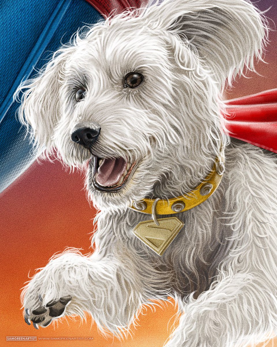 SamGreenArtist's tweet image. Work in progress. Officially licensed art print, coming soon. 🐶
Painted in @procreate 🖌️
#Superman #Krypto #JamesGunn @JamesGunn @Superman @DCOfficial