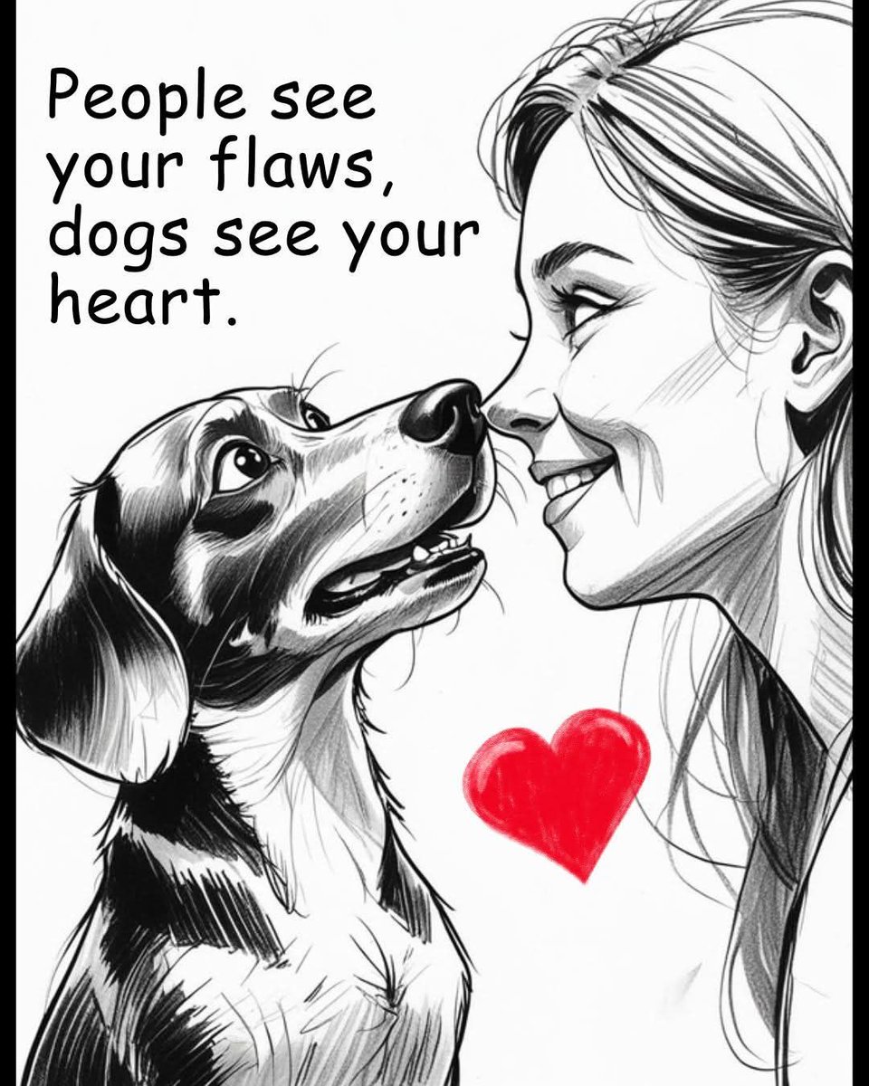 Dog Lovers tweet media