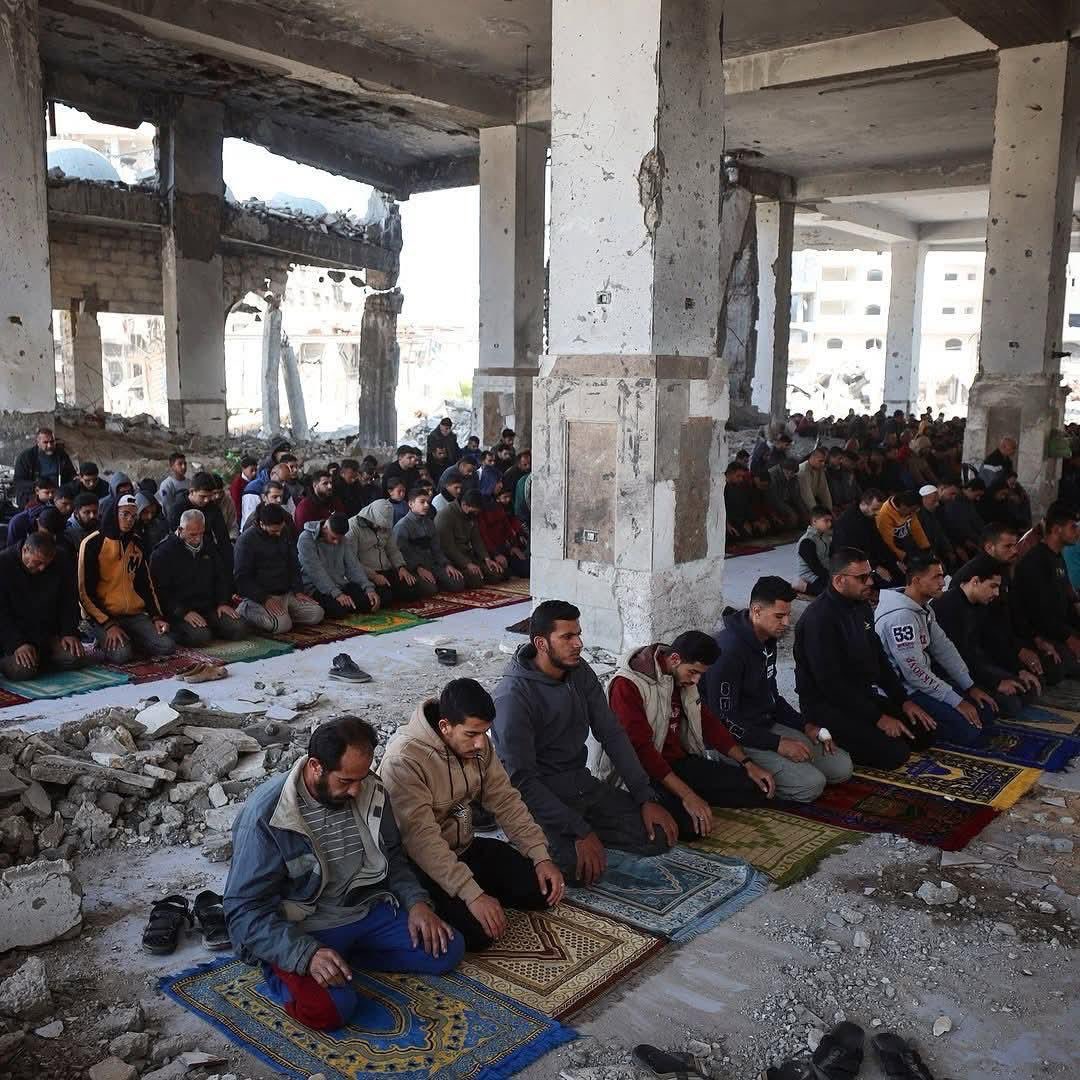 Evini, yurdunu, yuvanı, bağını, bahçeni, en sevdiklerini talan etmişler, zorluklar ve acılar içindesin ama ruhun dimdik ayakta. Eşsiz, direnişçi ve bambaşka insanlarsınız vesselam.

#FreePalestine