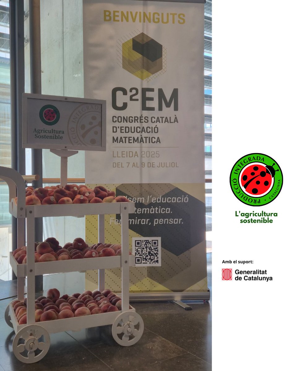 producciointegrada tweet media