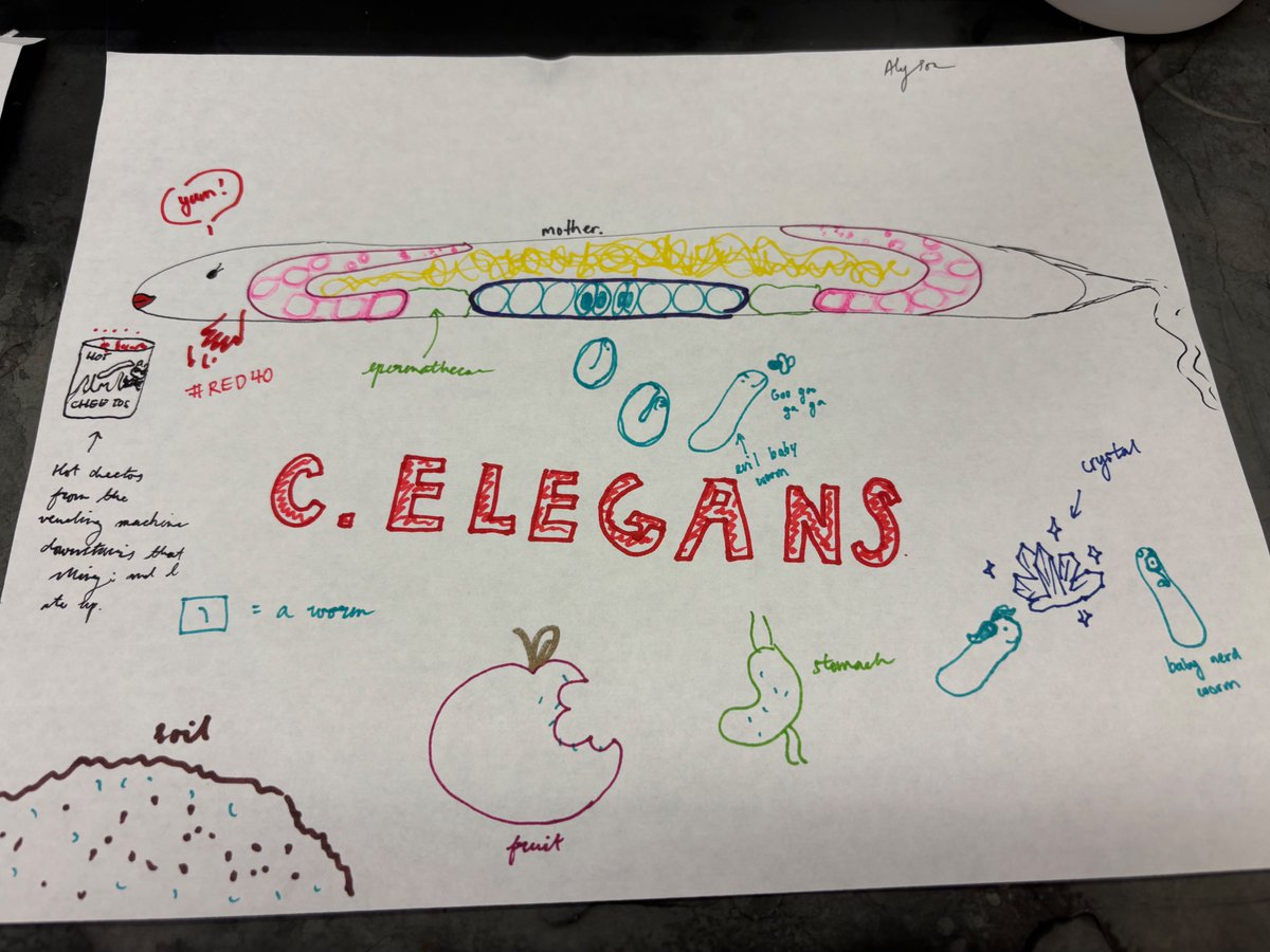 BembenekLab's tweet image. You can always tell when the high school summer interns start working in the lab!