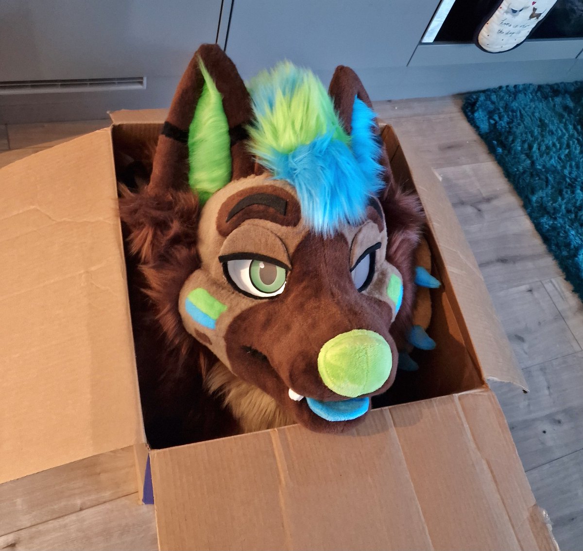 Its a shep in a box 💚💙