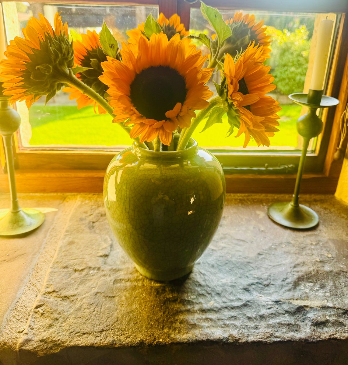 Thanks Tesco these are lovely and have cheered me up no end. 😁❤️🌼