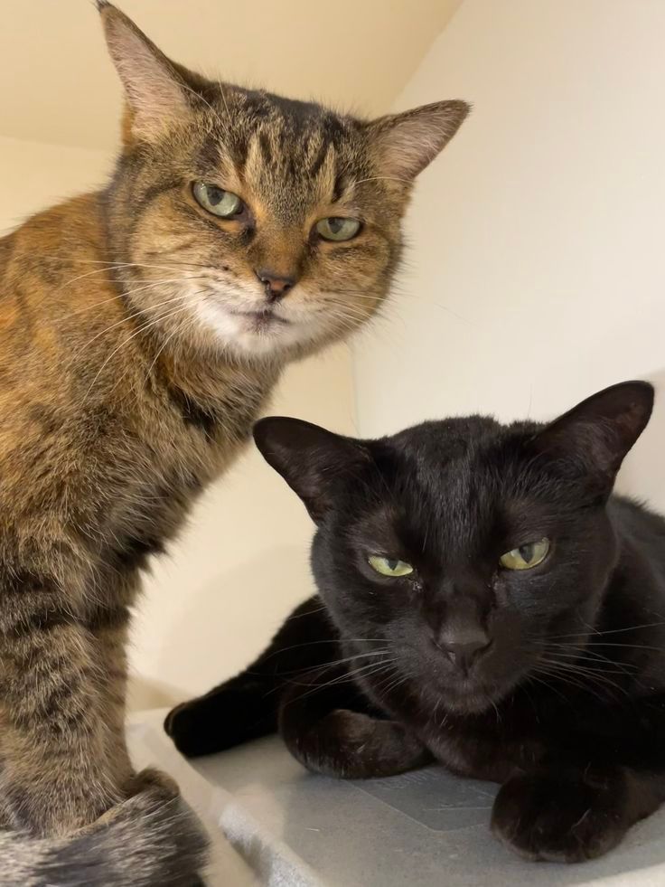 they're judging you