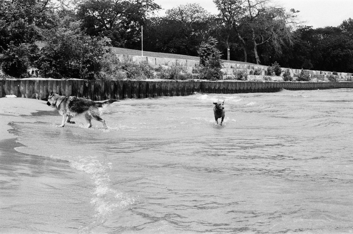 ッ 𝘫𝘢𝘮𝘦𝘴 𝘫𝘰𝘢𝘯 tweet media