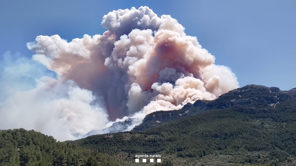 AVÍS | ❌ Tallada la carretera T-342 entre els Reguers i Alfara de Carles per l’incendi forestal de Paüls. 

✅ Tot el suport als municipis de #Paüls #Xerta #AlfaradeCarles i #Aldover i als cossos d’emergència que treballen a la zona.

🧵[1/2]