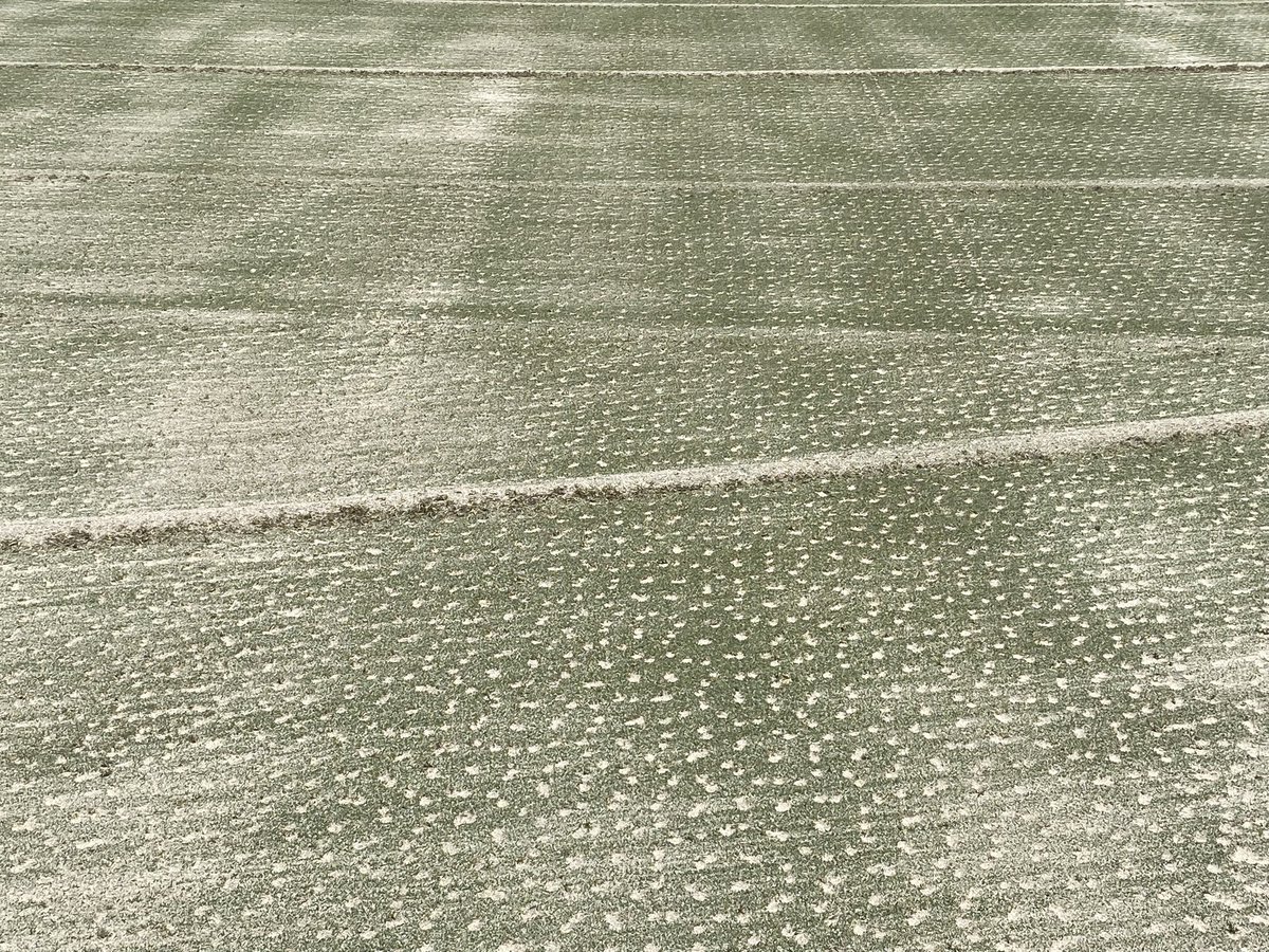 Aerification Party 2025 well underway here <a href="/PreserveGCAgr/">PreserveGC Agronomy</a>