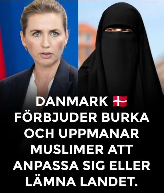 🎯🎯🎯🎯🎯🎯🎯