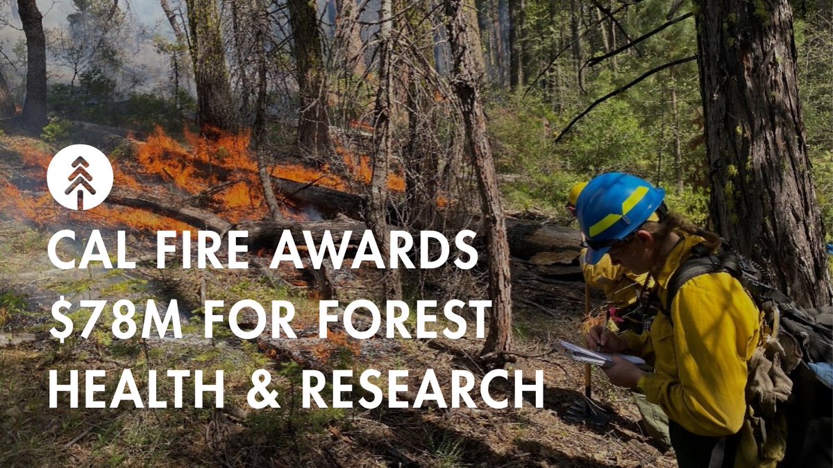 CAwildfireTF's tweet image. 🔥 @CAL_FIRE awarded nearly $78M for Forest Health and Research Grants, PLUS announced up to $135M available for wildfire prevention grants (applications due Aug 6)! bit.ly/tf-78-mil-awar… #WildfireTaskForce
