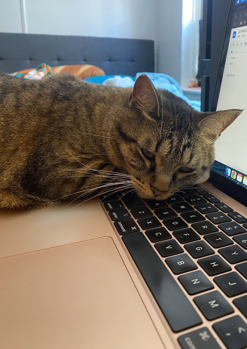 how your email after a week of vacation finds me today: