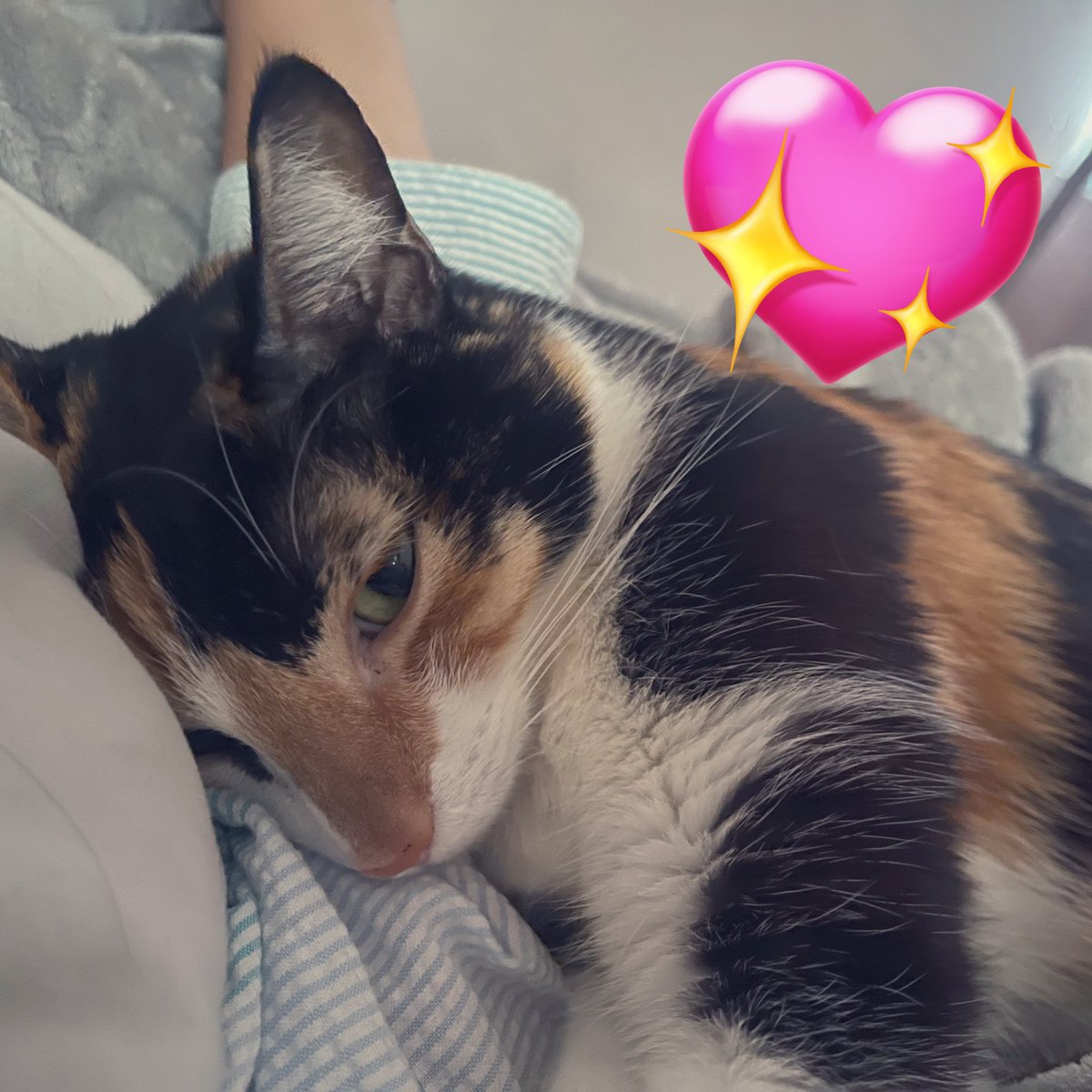 Imagina despertar y ver a esta cosita bella alado tuyo 😭💚 post de apreciación de mi hija Nina🗣️

Buenas tardes y bonito inicio de semana Lumies!