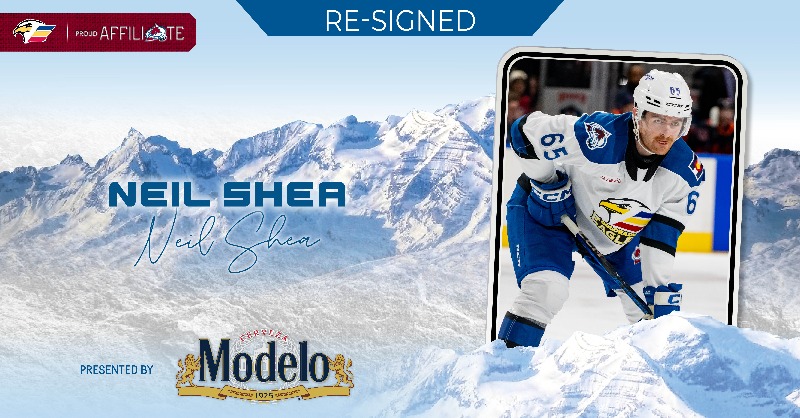ColoradoEagles's tweet photo. NEWS: Forward Neil Shea Returns on One-Year AHL Contract

#EaglesCountry