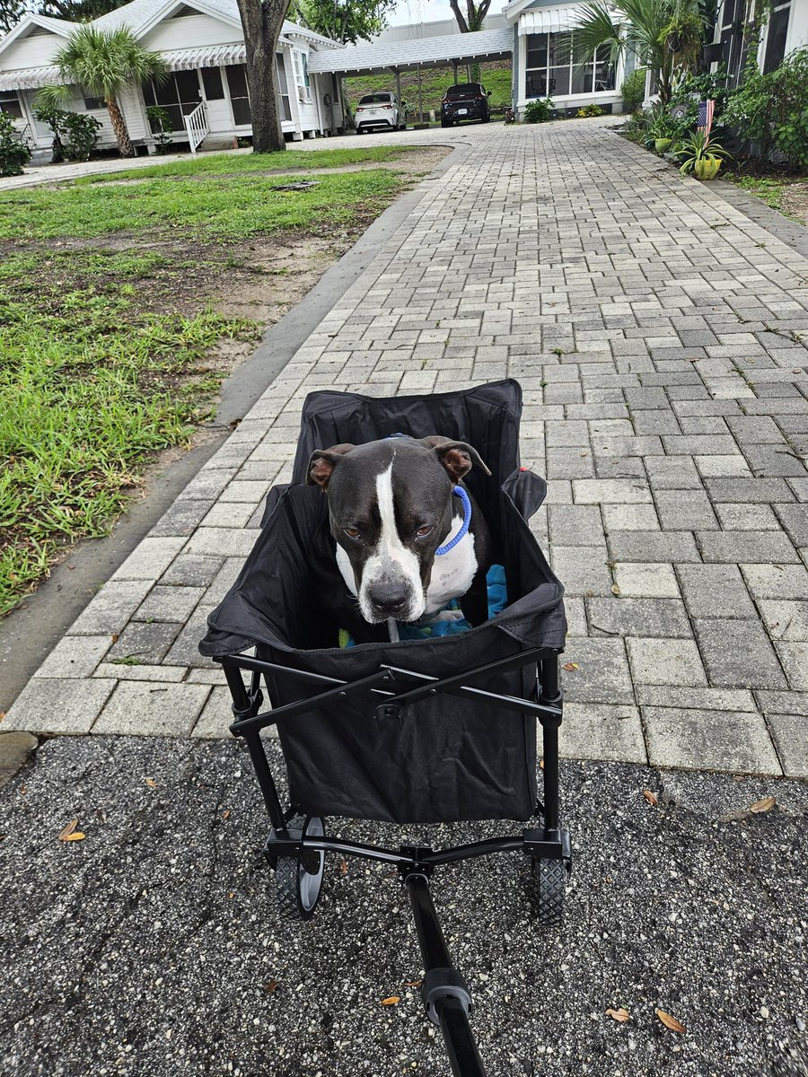 Dominick Ruocco tweet media