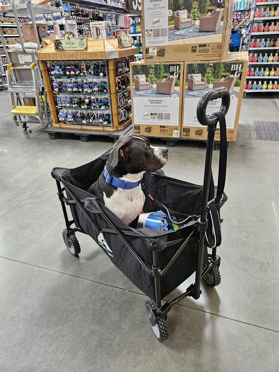 Dominick Ruocco tweet media