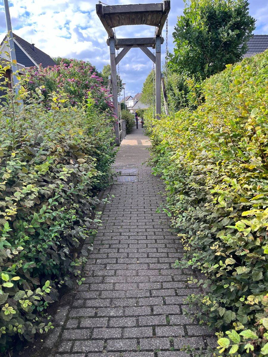 Hans van Vierssen tweet media