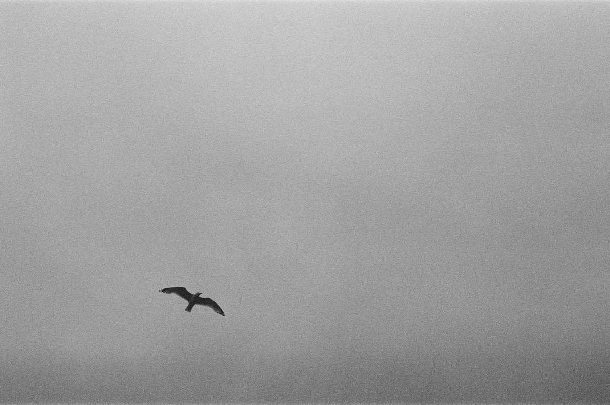 ッ 𝘫𝘢𝘮𝘦𝘴 𝘫𝘰𝘢𝘯 tweet media