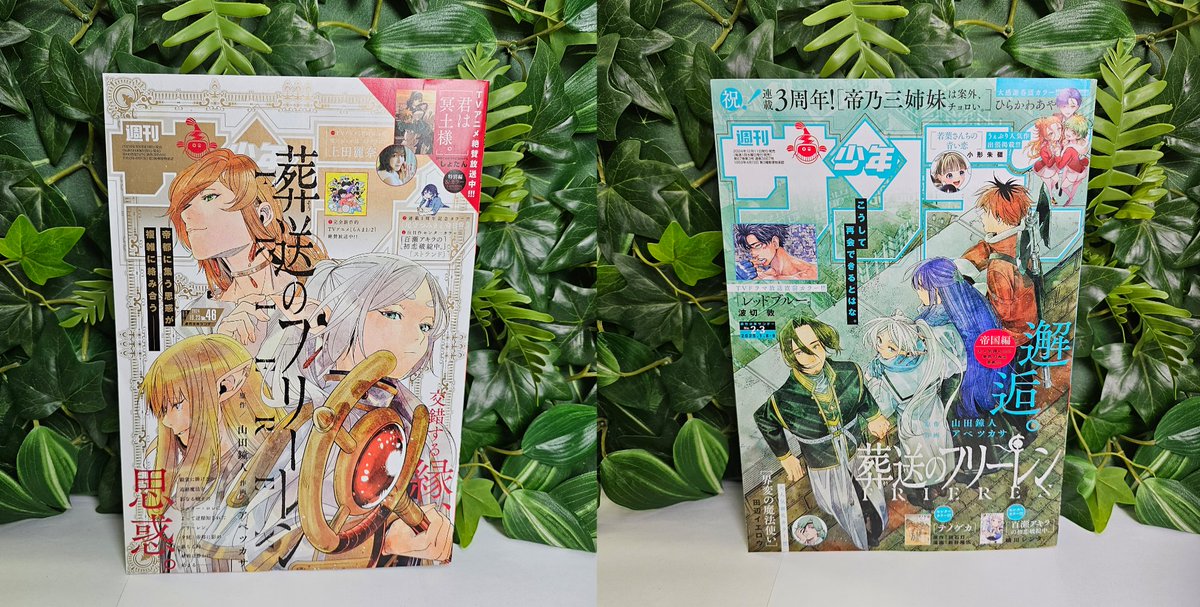konotoree's tweet image. On est de retour !
On espère que vous avez bien profité de la Japan Expo 💯
Des nouveautés avec les 1ers chapitres de Dragon Quest et Samurai 8
du Dr. Stone, Frieren, City Hunter, The Quintessential Quintuplets & du Black Clover pour sublimer le tout
➡️ konotoree.com