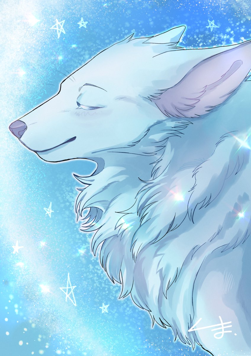 Wish upon a star💫