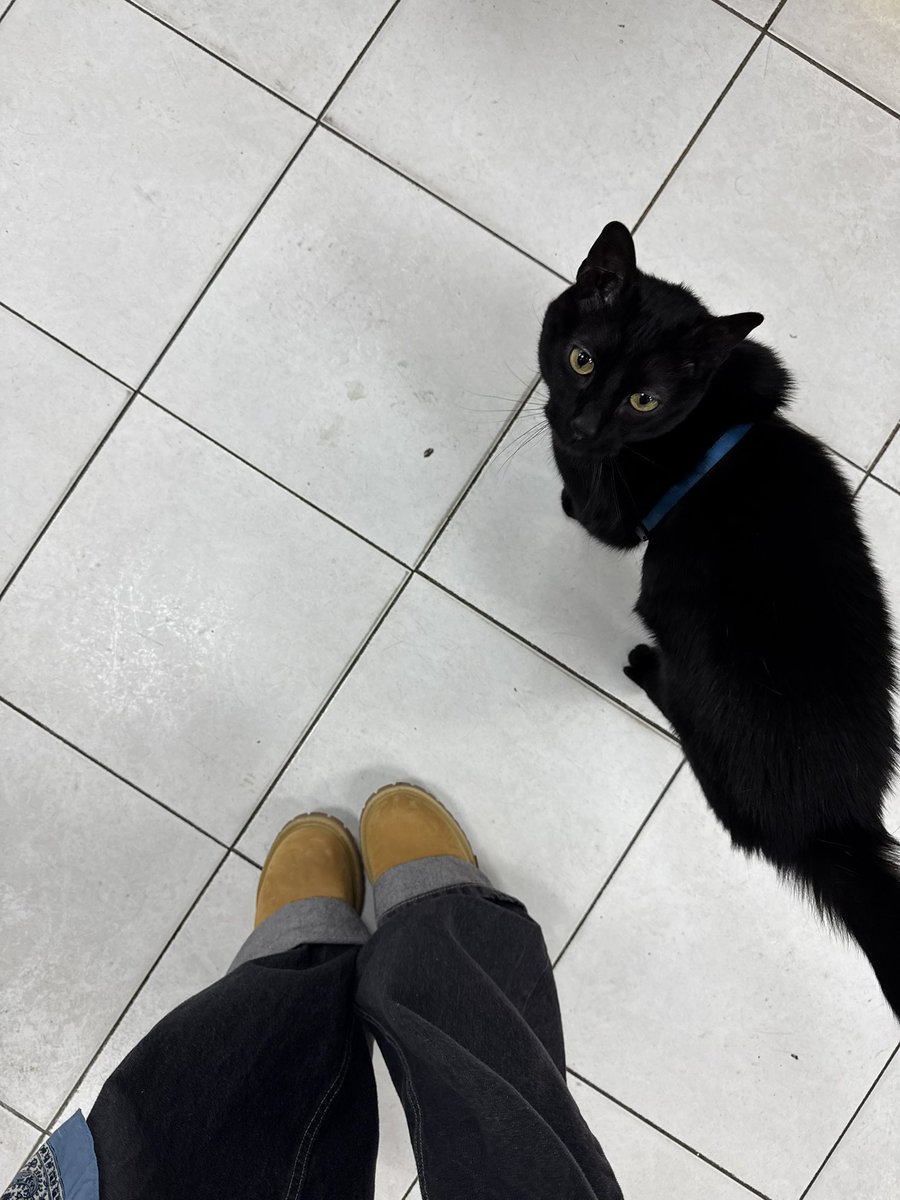 ‎‎ً (@roupiller) on Twitter photo 