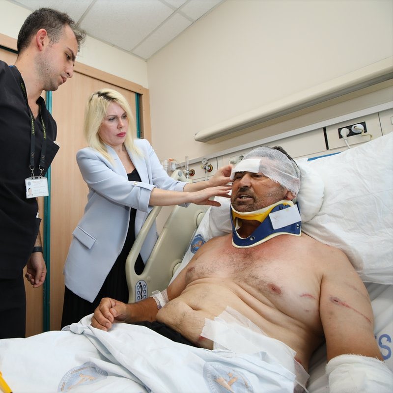 Safari Aslanına karşı mücadele veren Anadolu Aslanı savaşı kazandı…