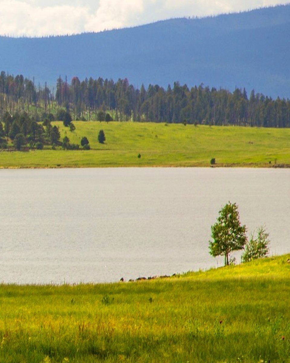 110 in the valley. 75 at Big Lake. Just saying.

If you’re heading up north, make sure to check current fire restrictions. 

#📷:@paulfolkphoto