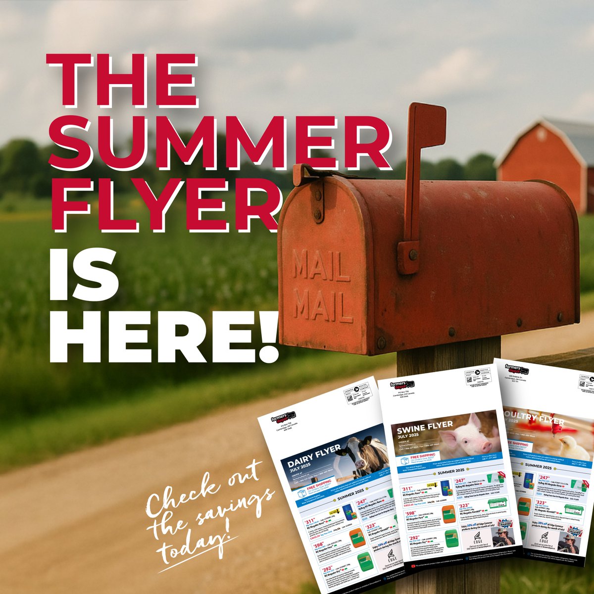 🔥 Our July Flyers are here!
Dairy, Swine &amp; Poultry savings you don’t want to miss. 👇

🟦 link.gvfgroup.ca/DairyFlyerJuly
🟩 link.gvfgroup.ca/SwineFlyerJuly
🟨 link.gvfgroup.ca/PoultryFlyerJu…

✅ Hot deals
✅ Farm favourites
✅ Limited time only!

#FarmersDepot #AgDeals #FarmSavings