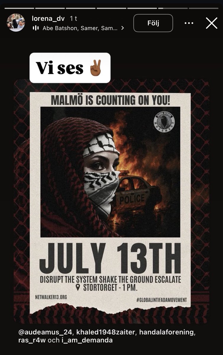 Vänsterpartisten Lorena Delgado Varas delade just ett inlägg från den danska nätbutik Netwalker13.

Förutom inlägget i sig - låt oss också titta på några av produkterna som säljs på sajten i fråga.