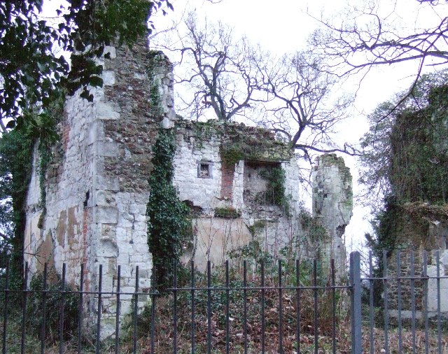 The Brownes were major landowners around Saffron Walden. On 1607 Sir Ambrose (1st bart) in married Elizabeth Adam, a wealthy Walden heiress. Most of his holdings were sold by their son Sir Adam in 1668-9, including the tenements that would become the Sun Inn - to Henry Winstanley