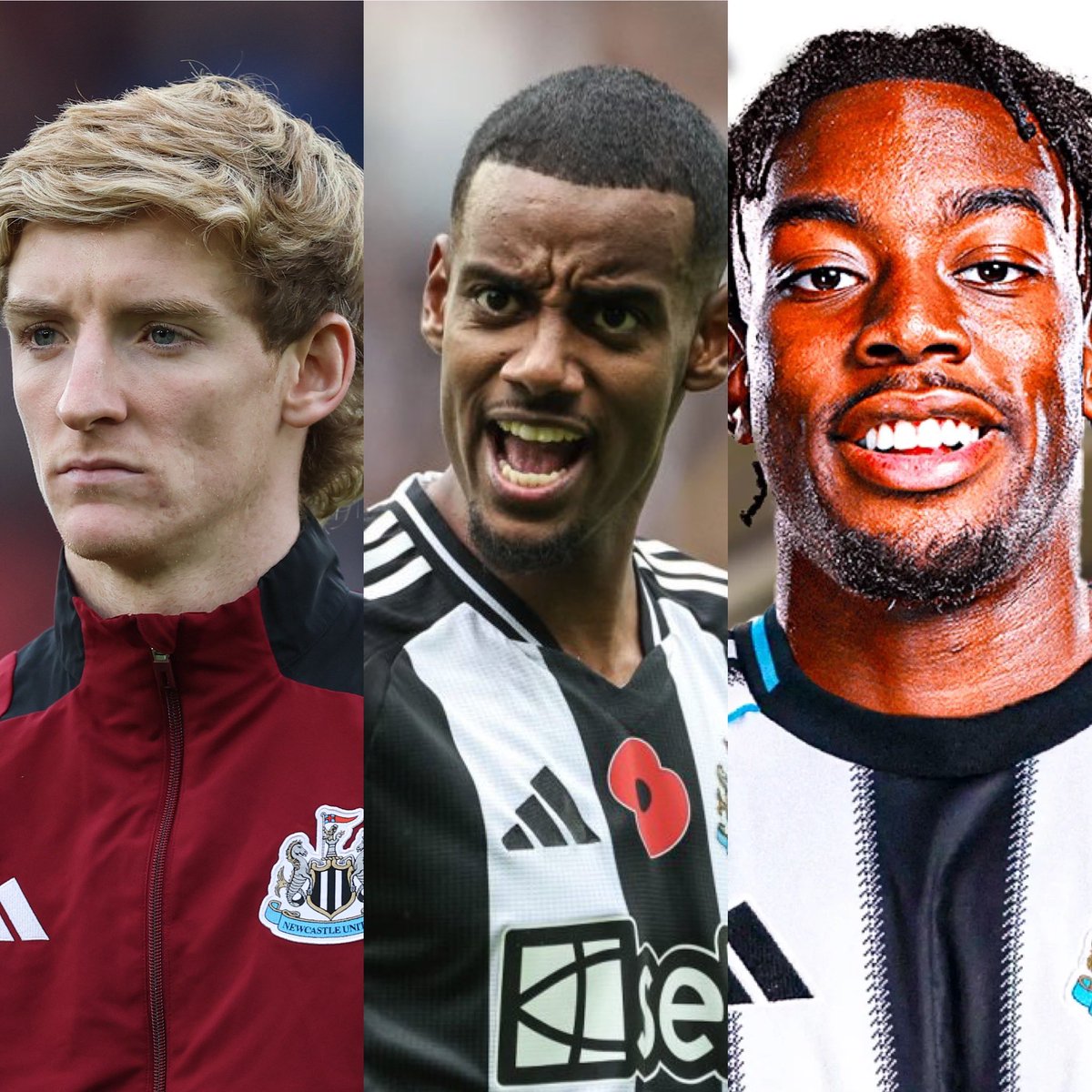 António Mango tweet media