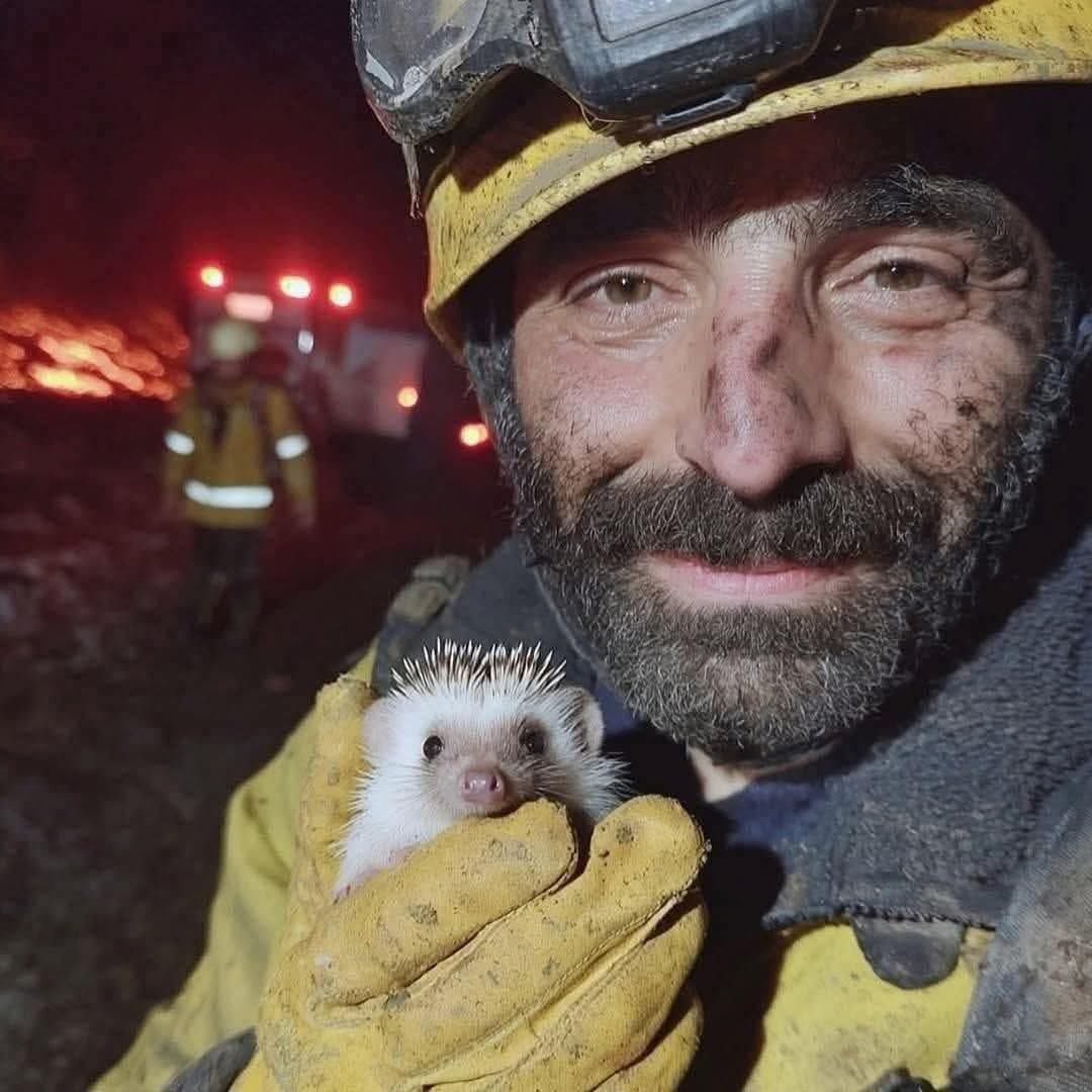 تيجان الرؤوس 🤍