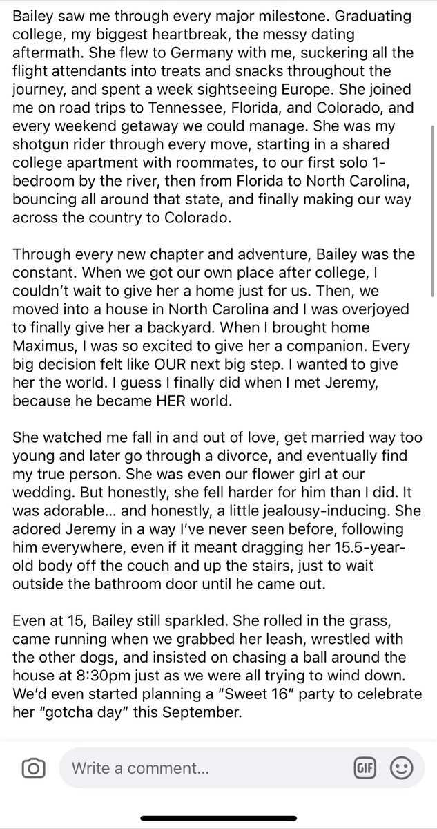 Darth Dog Mom 🖤 BuccaNole 🏈 tweet media