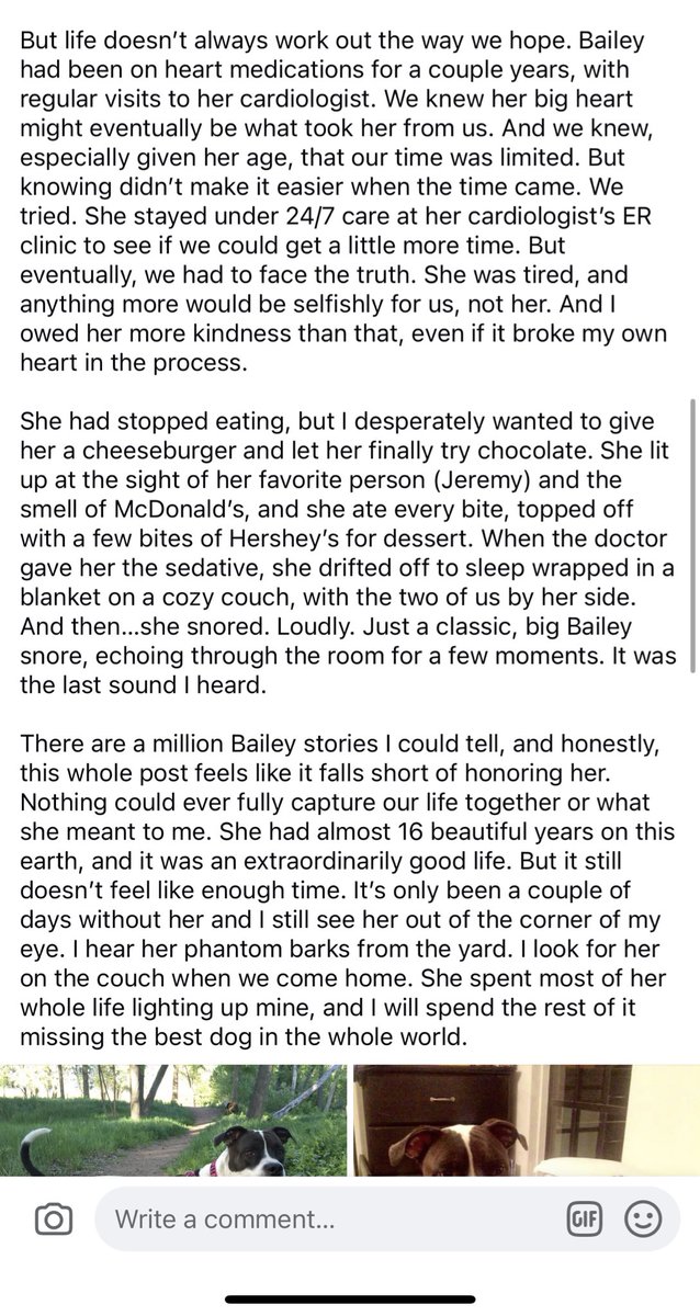 Darth Dog Mom 🖤 BuccaNole 🏈 tweet media