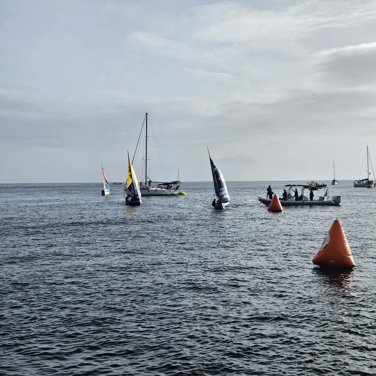 Prefet971's tweet photo. #AnnéeDeLaMer En 2025, l’État engagé pour la mémoire et la protection maritime.
✅ Priorité nationale : préserver littoraux et ressources maritimes
✅ En Guadeloupe : #RelaisDesOutreMer et #Traditour2025, hommage aux dissidents
ℹ️ + d'infos 👉https://t.co/zJ0x2brwo0 https://t.co/3fXfMY5imy